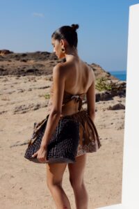 Paisley Brown baloon hover