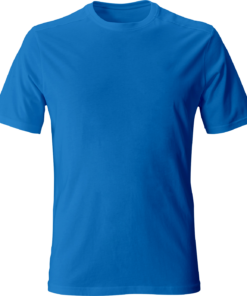 Alternative view of top model 1